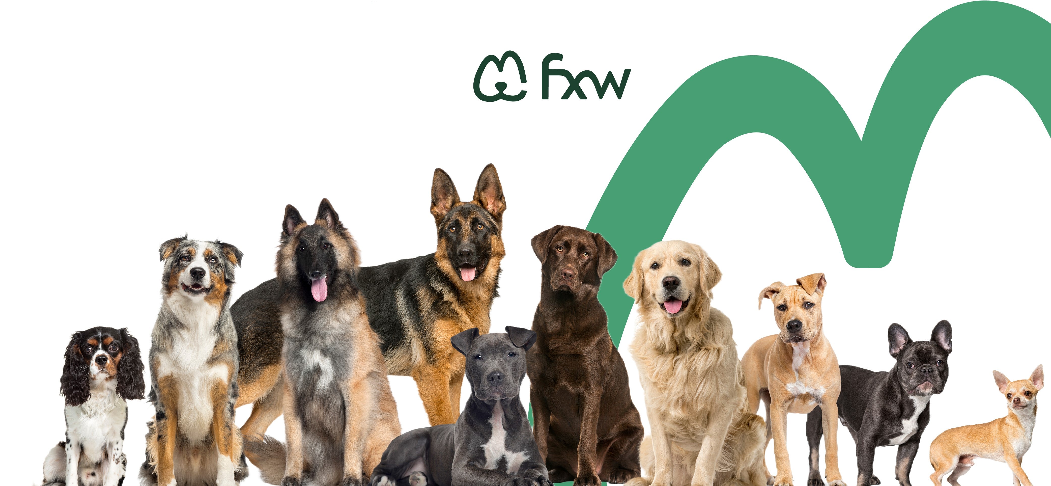 All dogs need a playpen