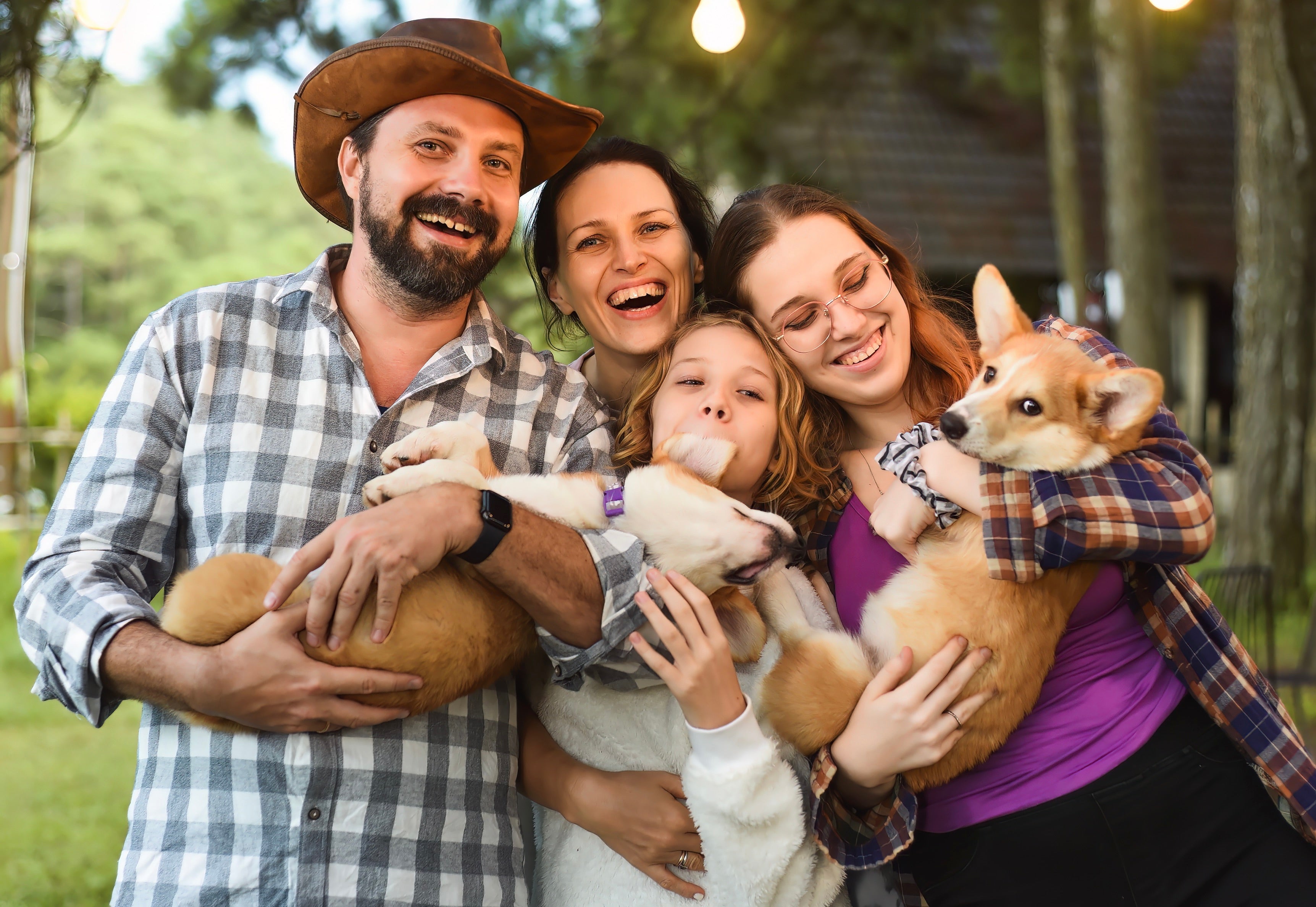 A multi-dog household need to learn how to use playpen under safety guidelines