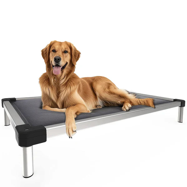 A large dog laying on a sturdy and durable dog bed?