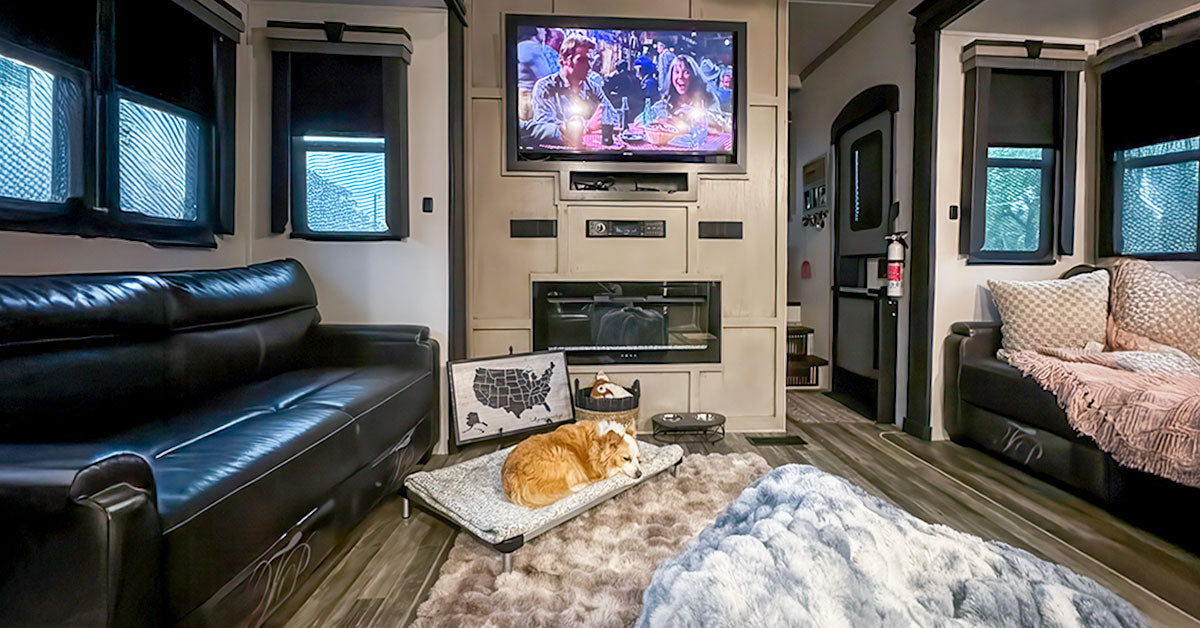 How to Secure a Dog in an RV?