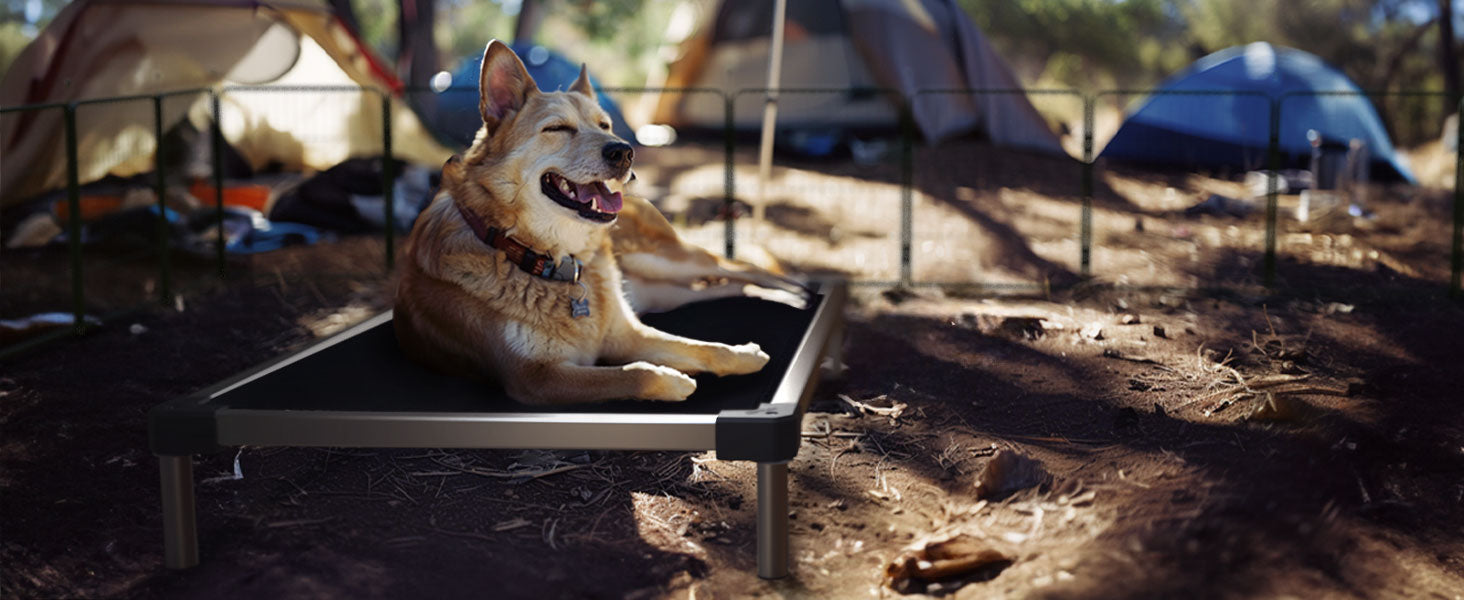 Benefits of Chew Proof Elevated Dog Beds for A Large Dog to lay on