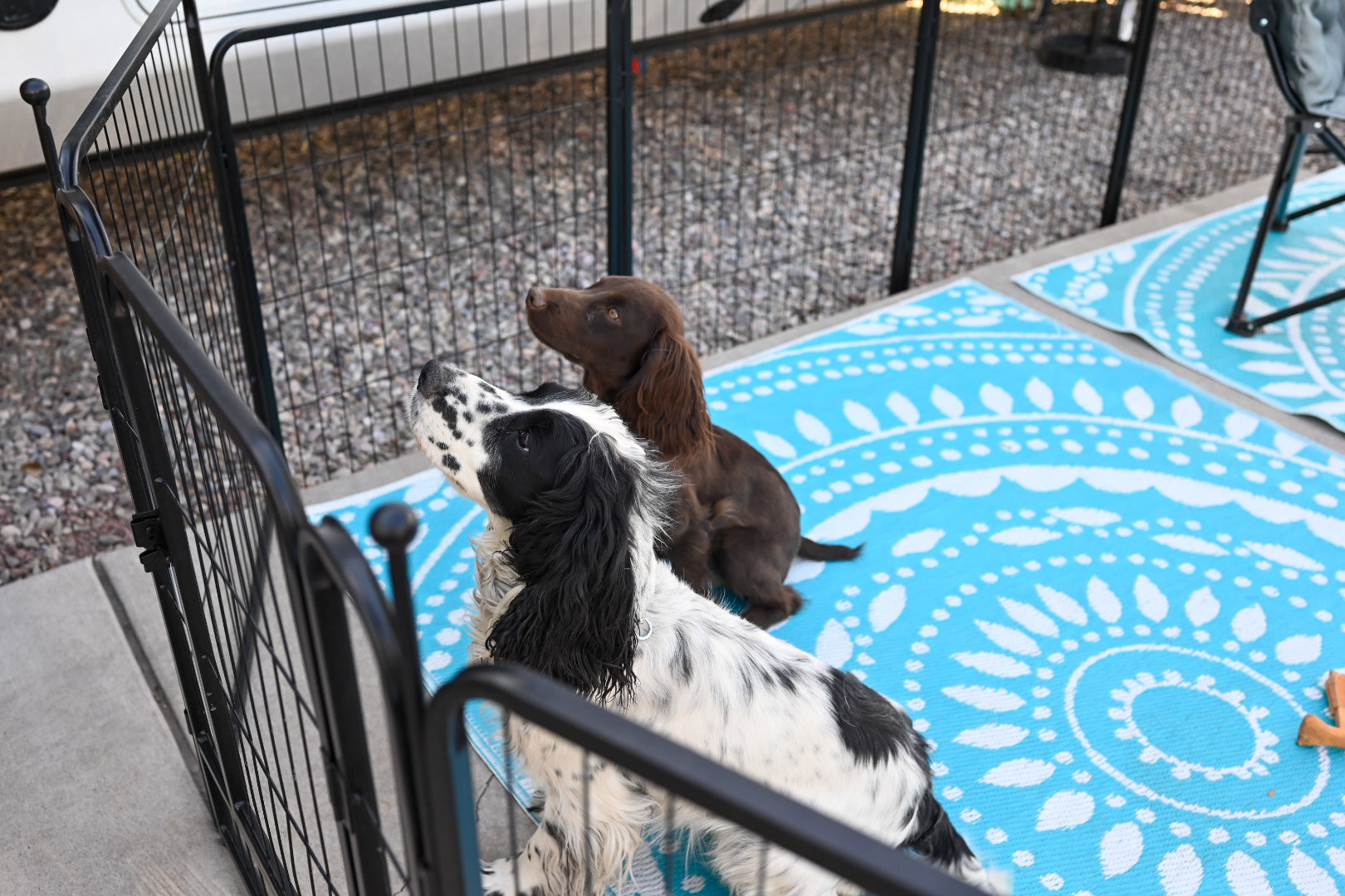 FXW DOG PLAYPEN IN RV CAMPING