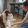 How to Stop Puppy Zoomies Indoors: Safe, Flexible Solutions