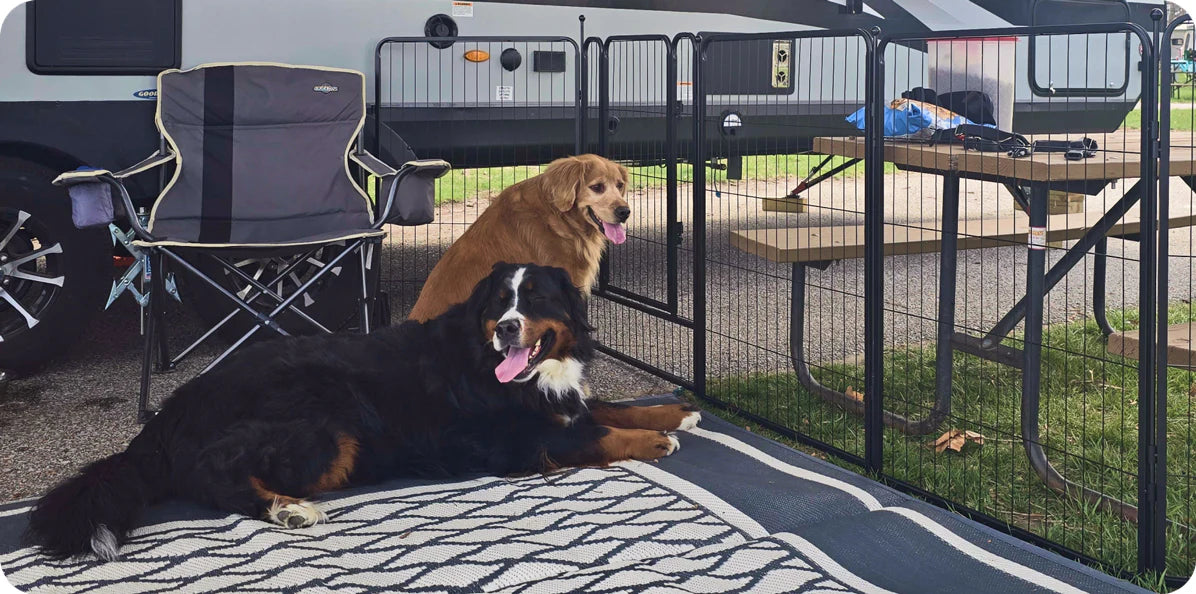 Camping with Your Dog Avoid Hassles with a RV Dog Fence FXW