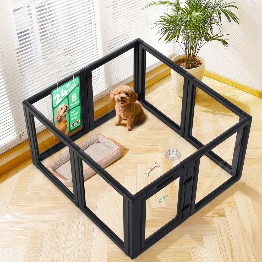Small brown puppy sitting inside a black acrylic playpen with a soft dog bed and water bowl in a bright indoor room.