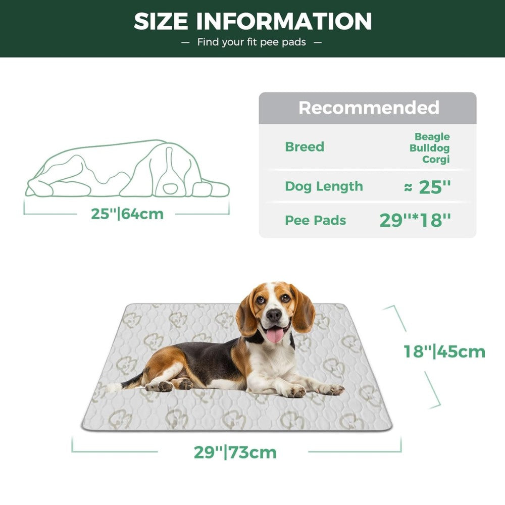 Washable Pee Pads for Housebreaking Your Dog FXW