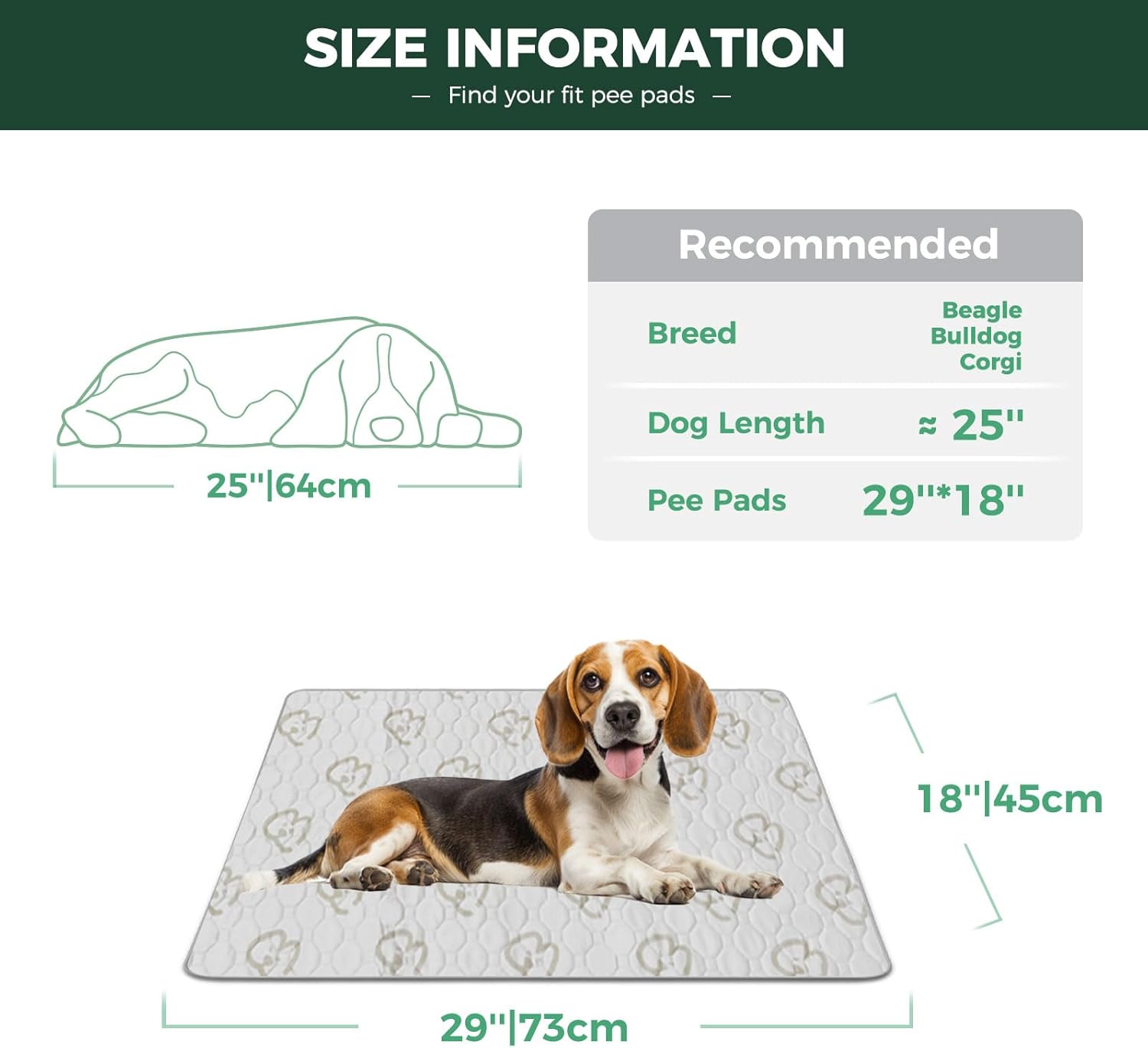 Washable Pee Pads for Housebreaking Your Dog