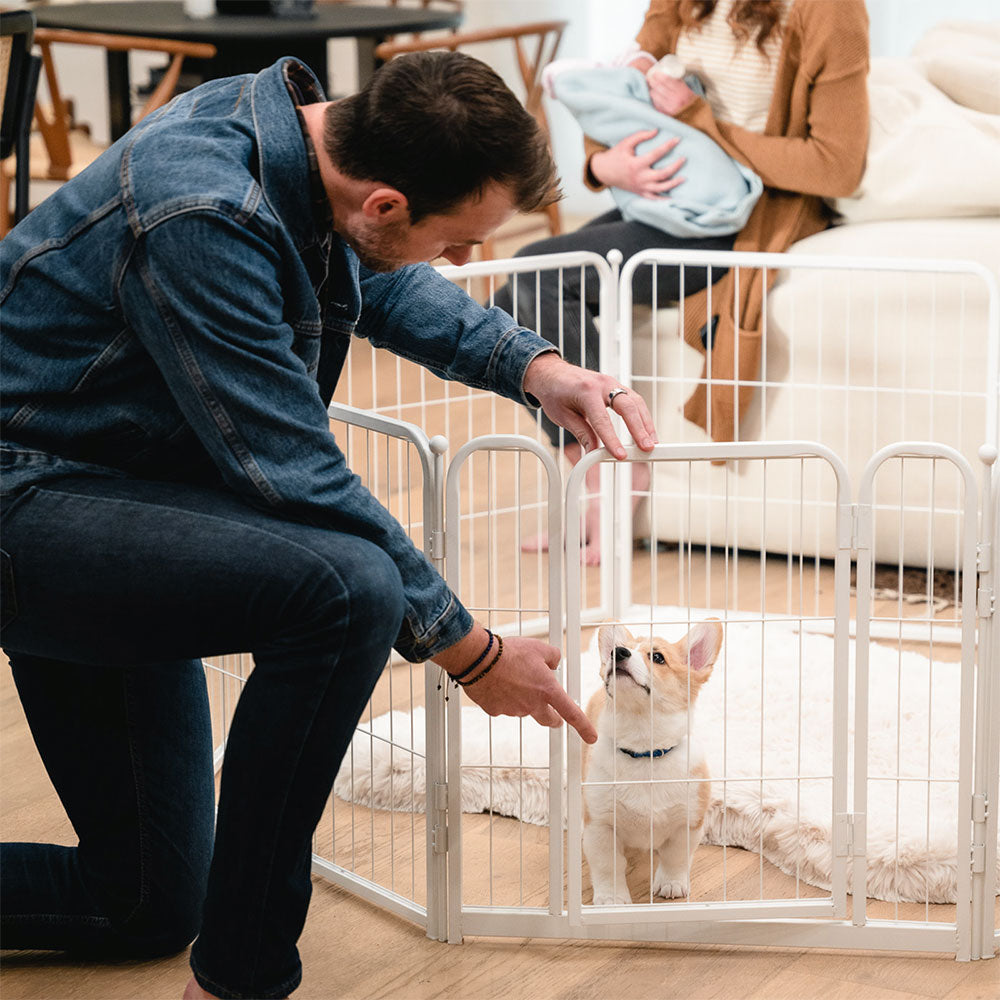 Homeplus Dog Playpen for Indoor Use FXW