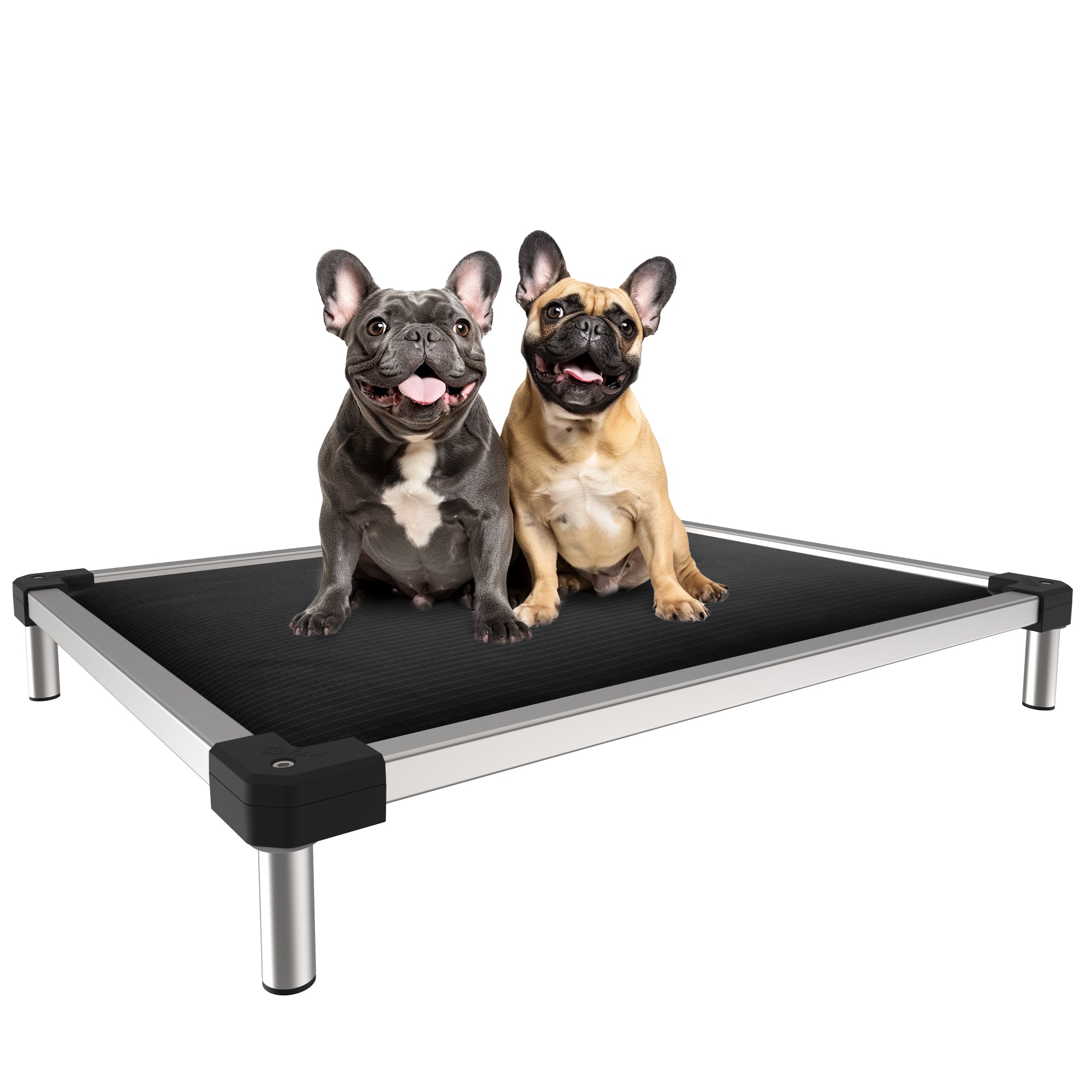 TitanNest Padded Chew-Proof Elevated Dog Bed for Your Chewer 30.0"Lx22.0"W x 4.5"H Black FXW