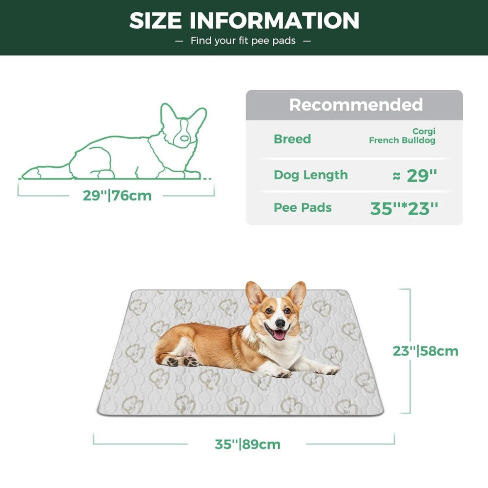 Washable Pee Pads for Housebreaking Your Dog FXW