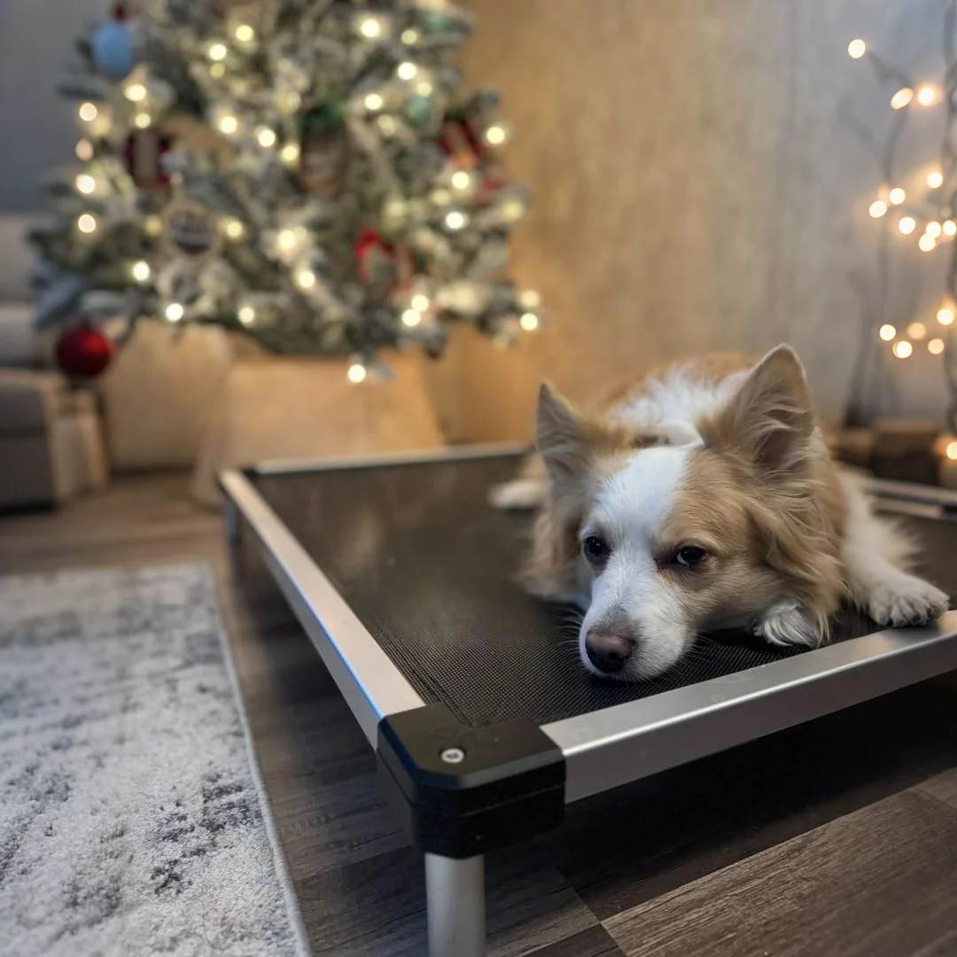 TitanNest Cooling Chew-Proof Elevated Dog Bed for Your Chewer