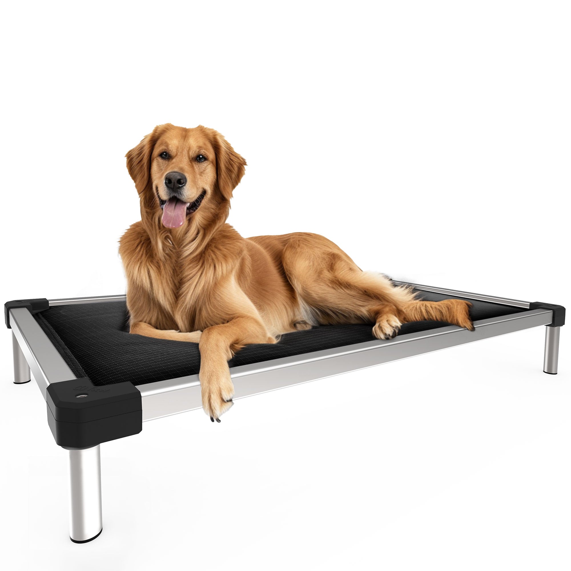 TitanNest Padded Chew-Proof Elevated Dog Bed for Your Chewer 58.0''Lx28.7''W x7.3"H Black FXW