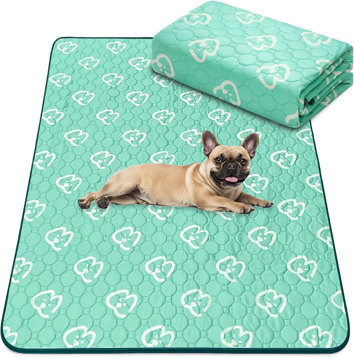 Washable Pee Pads for Housebreaking Your Dog