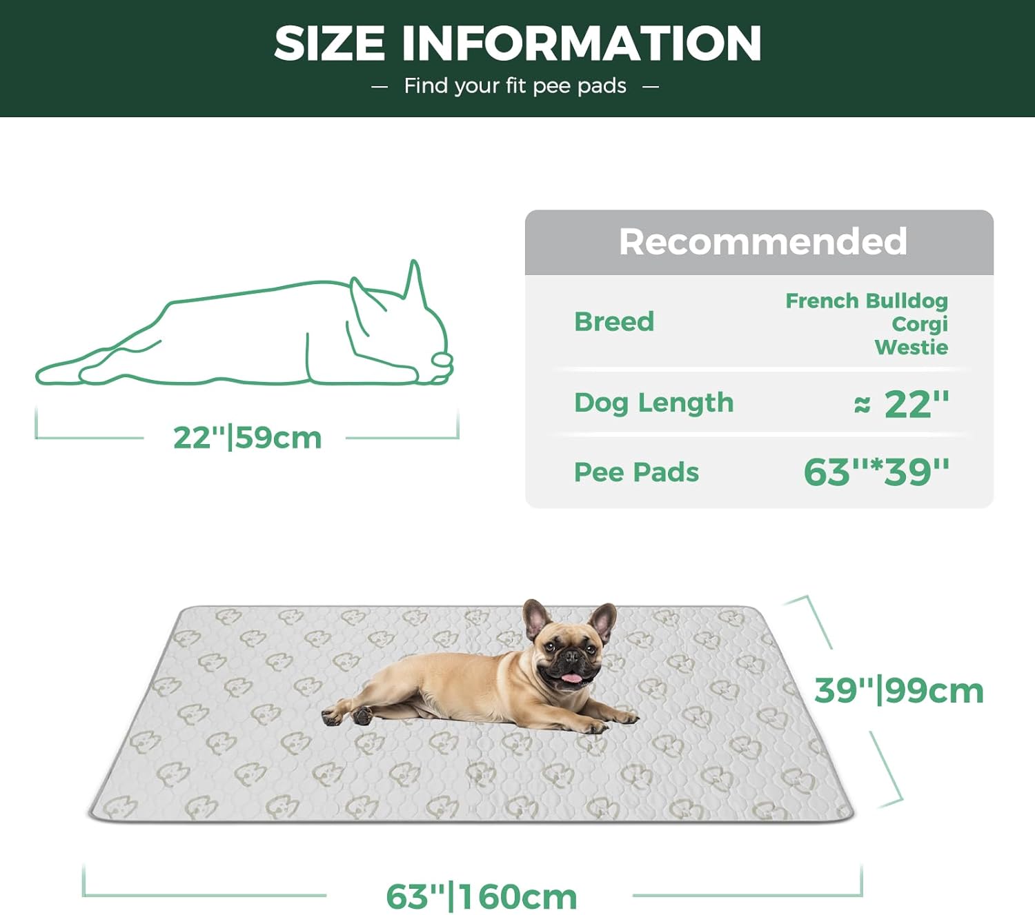 Washable Pee Pads for Housebreaking Your Dog