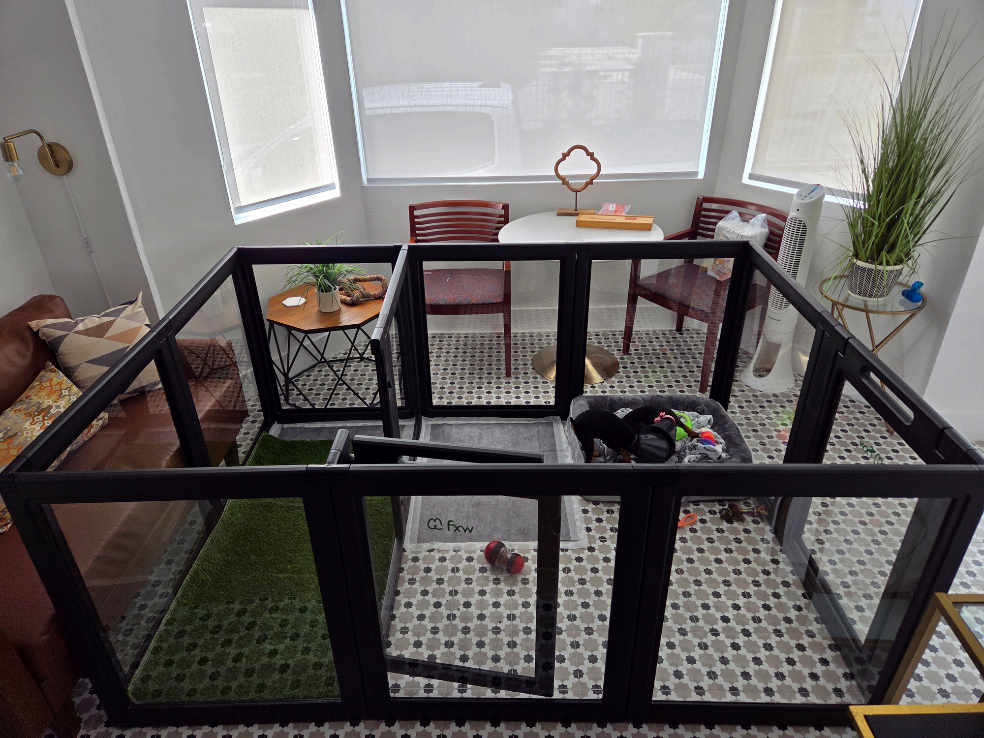 Black acrylic dog fence used as a room divider in a modern living room to protect furniture.