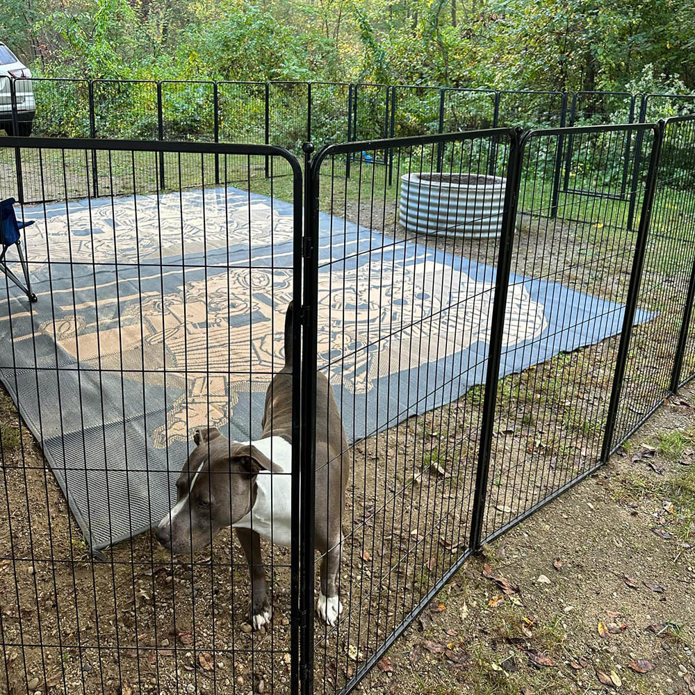 Bundle - Rollick Dog Playpen & Let's ROLL RV Rug