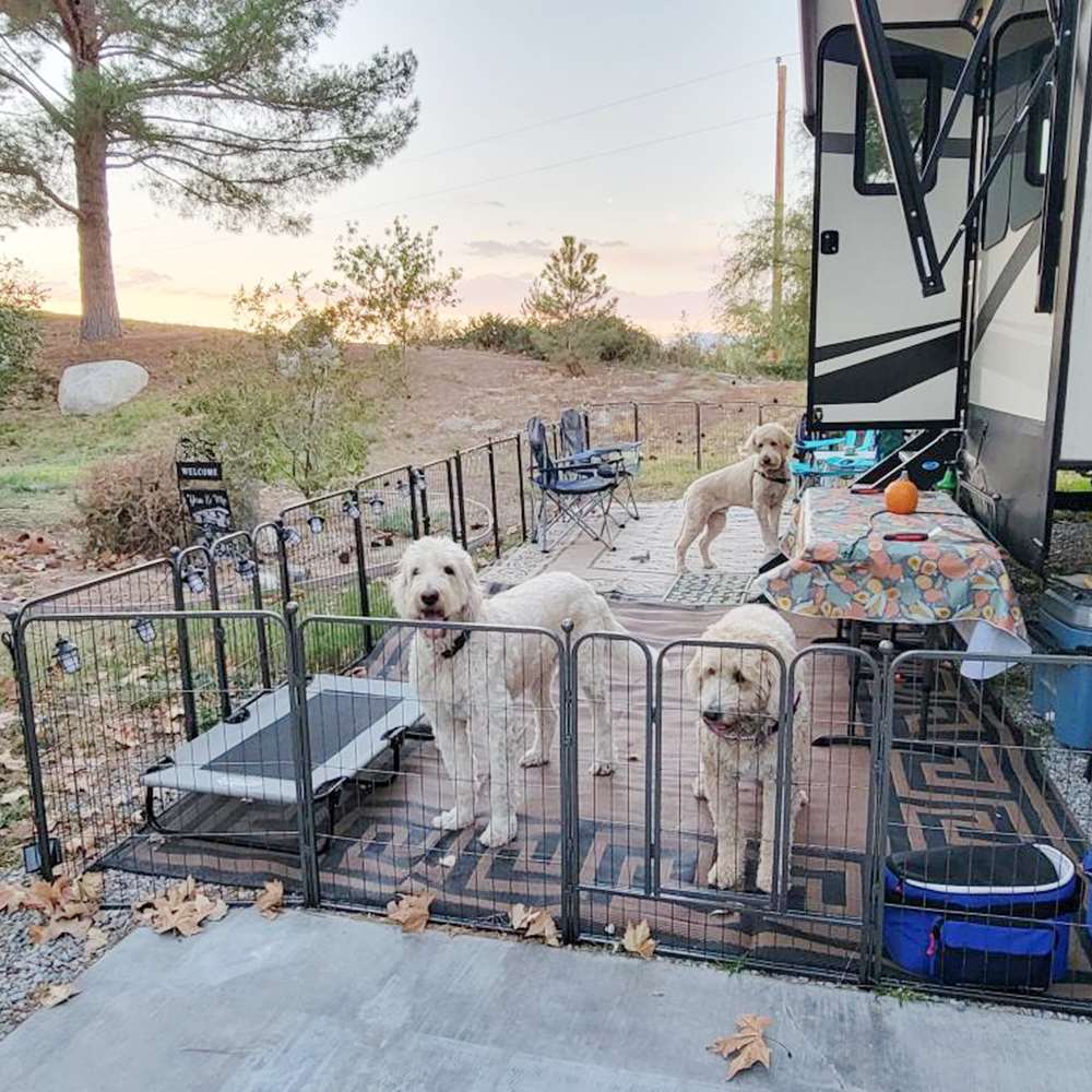 32 Inch 16 Panels Rollick Dog Playpen for All-Terrain FXW