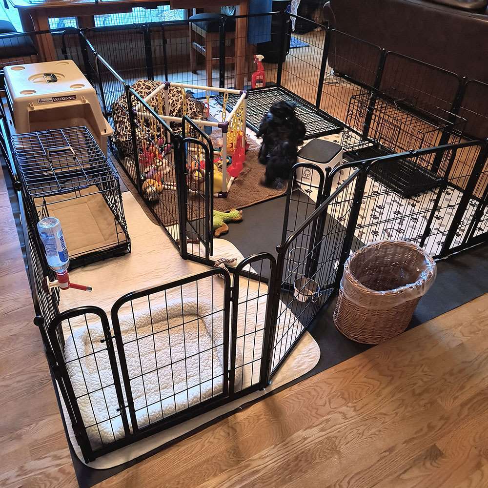 Homeplus Dog Playpen for Indoor Use Black 24 inch 14 Panels & 2 Gates FXW