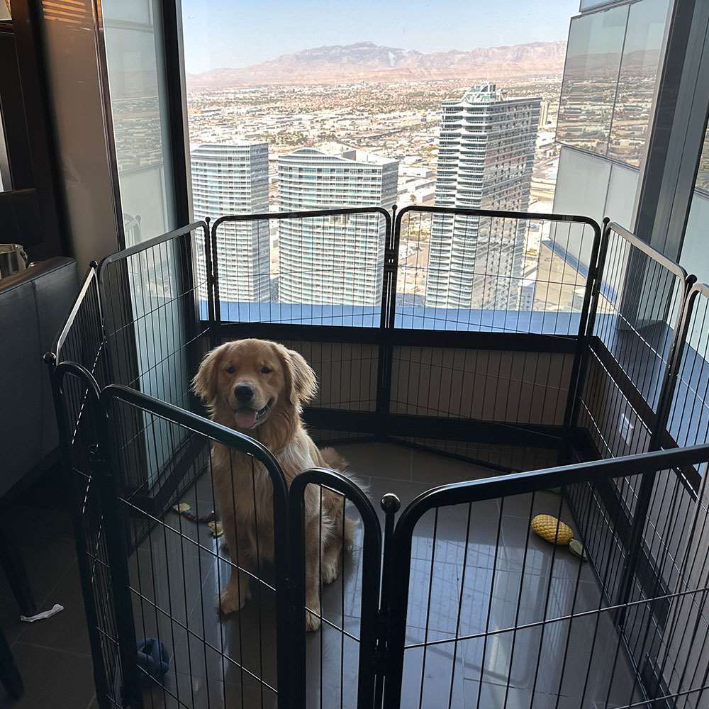 Homeplus Dog Playpen for Indoor Use Black 40 inch 7 Panels & 1 Gate FXW