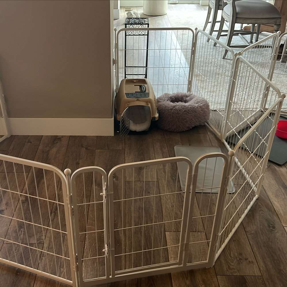 Homeplus Dog Playpen for Indoor Use White 24 inch 3 Panels & 1 Gate FXW