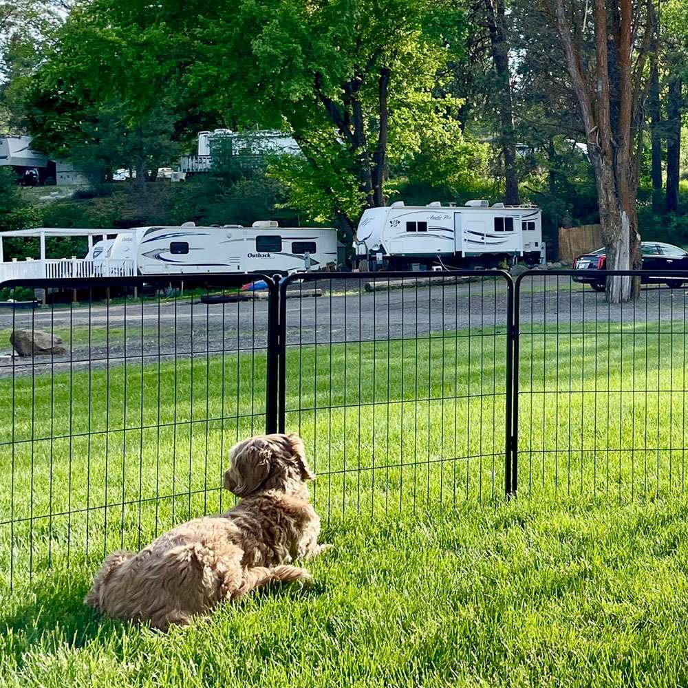 Bundle - Instant Dog Playpen & Storage Bag (2 PCs) FXW