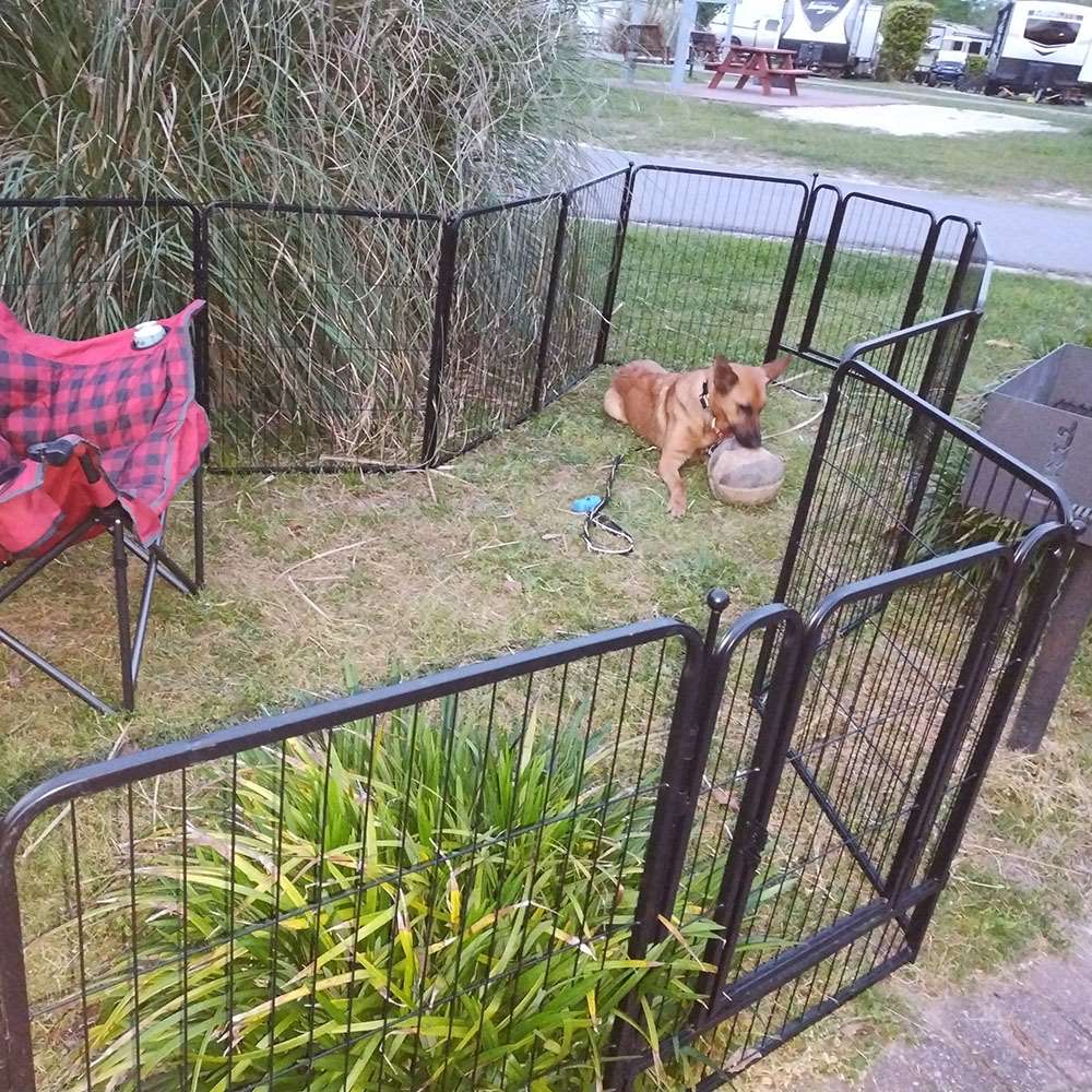 Bundle - Instant Dog Playpen & Storage Bag (2 PCs) FXW