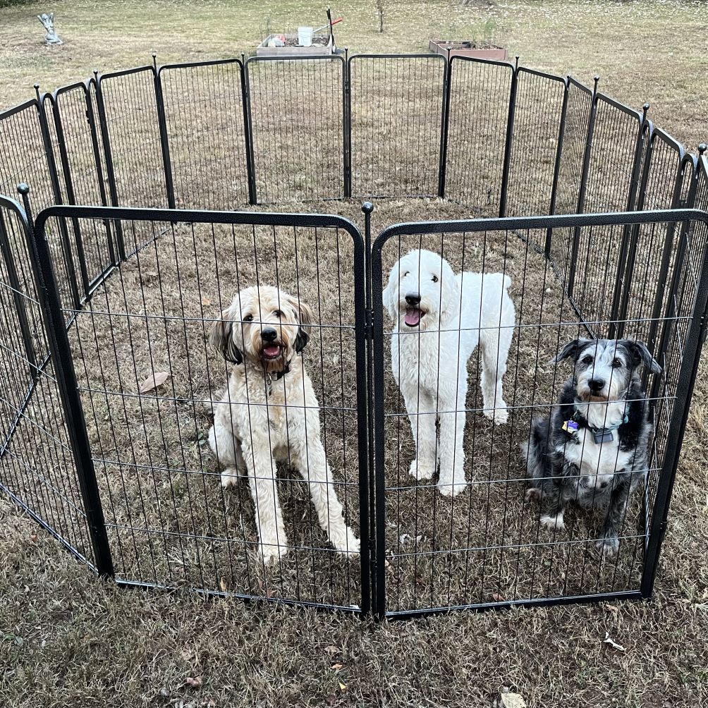 Aster Dog Playpen for Yard 40 inch 14 Panels & 2 Gates FXW