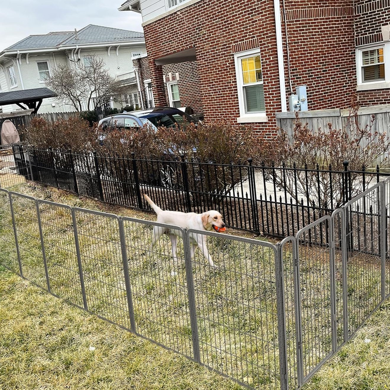 Aster Dog Playpen for Yard 40 inch 21 Panels & 3 Gates FXW