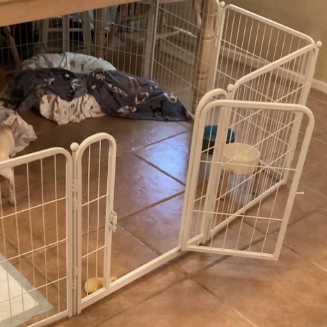 Bundle - White Homeplus Dog Playpen & Fence-to- Wall Anchor & Pee Pad (3 PCs) FXW