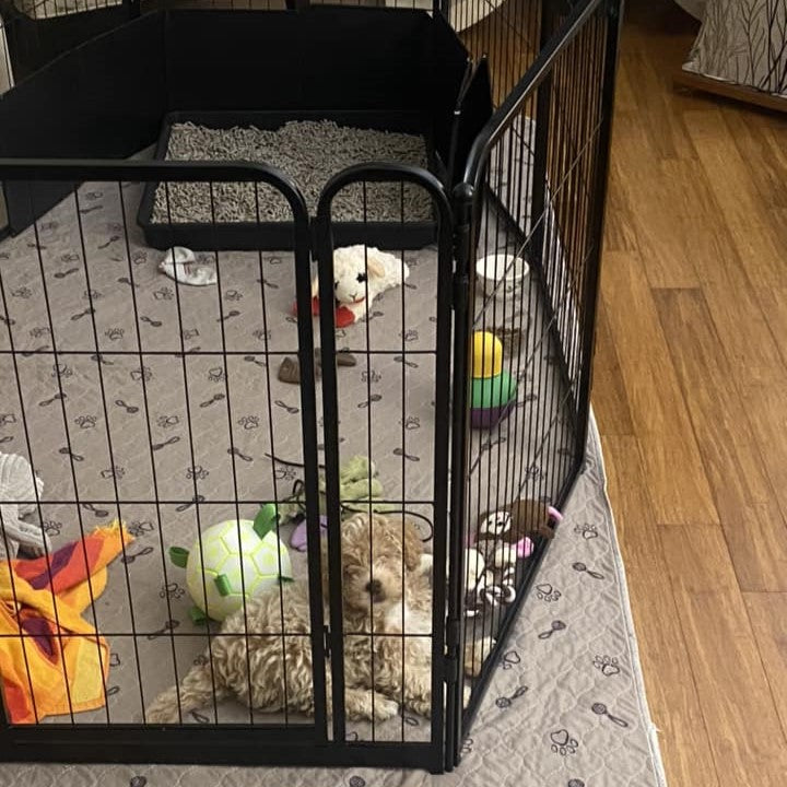 Homeplus Dog Playpen for Indoor Use Black 24 inch 3 Panels & 1 Gate FXW