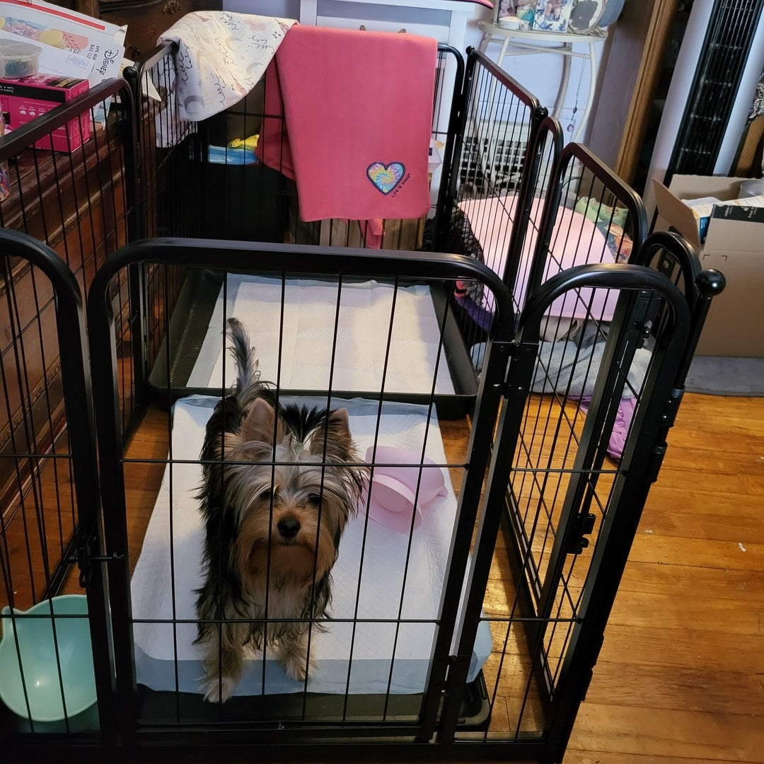 Bundle - Black Homeplus Dog Playpen & Fence-to- Wall Anchor & Pee Pad (3 PCs) FXW