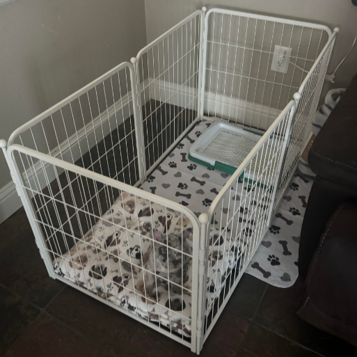 Bundle - White Homeplus Dog Playpen & Fence-to- Wall Anchor & Pee Pad (3 PCs) FXW