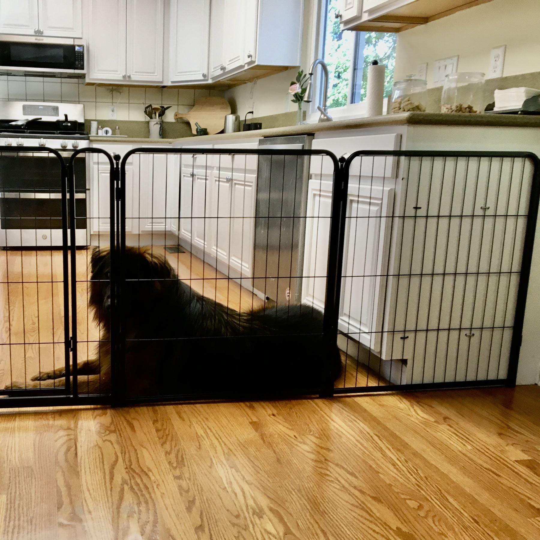 Bundle - Homeplus Dog Playpen & Fence-to-Wall Anchor (2 PCs) FXW