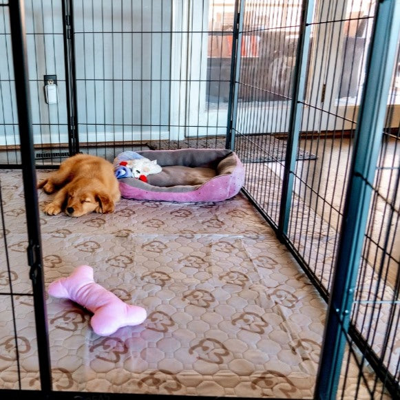 Homeplus Dog Playpen for Indoor Use Black 40 inch 1 Gate Panel FXW