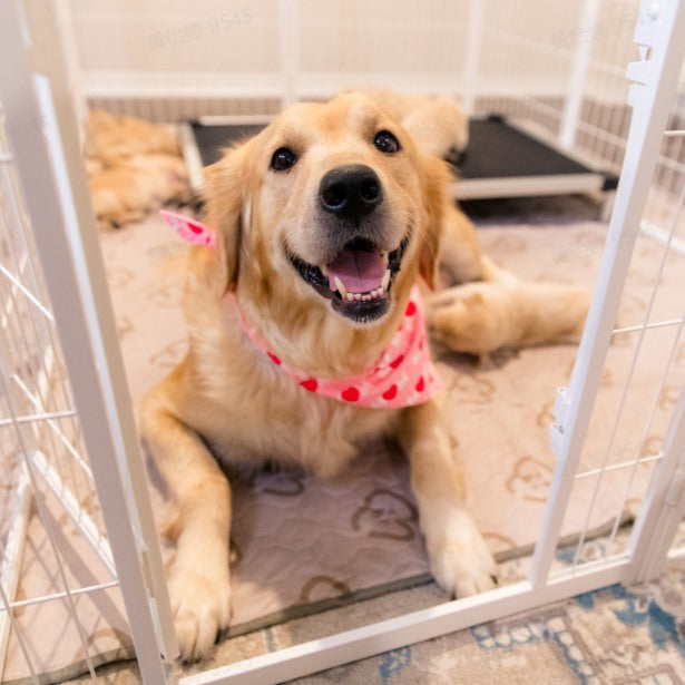Homeplus Dog Playpen for Indoor Use White 40 inch 1 Gate Panel FXW