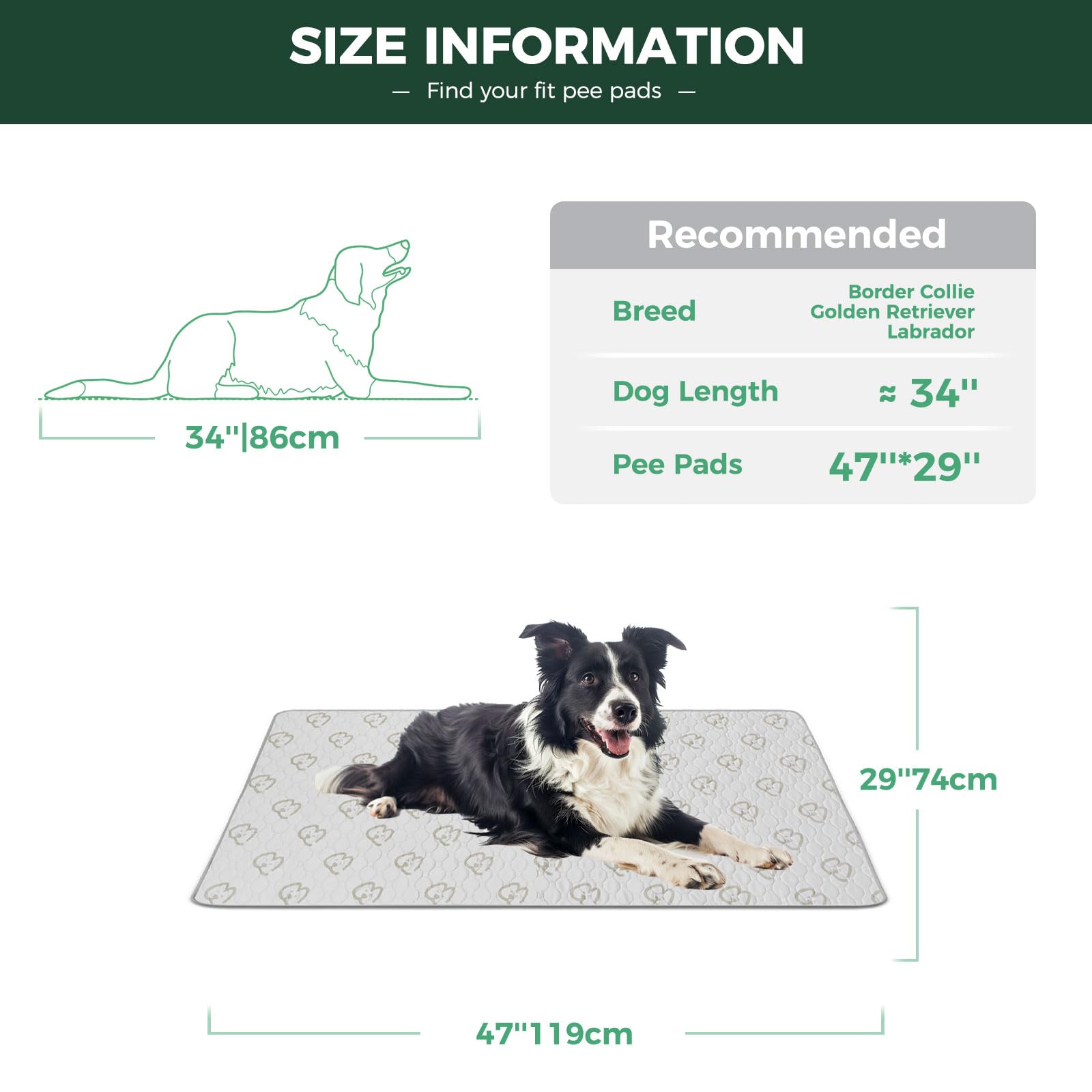 Washable Pee Pads for Housebreaking Your Dog
