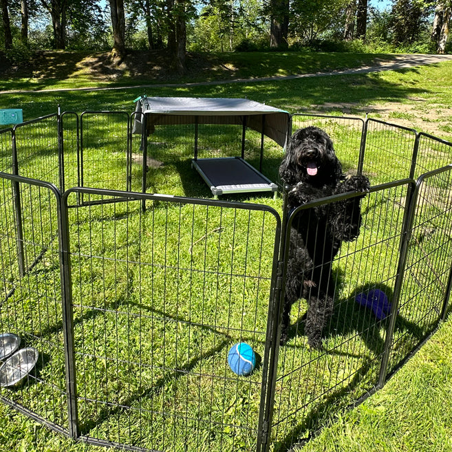 Instant Dog Playpen for RV Trips 40 inch 14 Panels & 2 Gates FXW