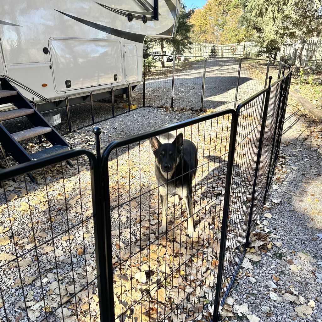 Instant Dog Playpen for RV Trips 45 inch 14 Panels & 2 Gates FXW