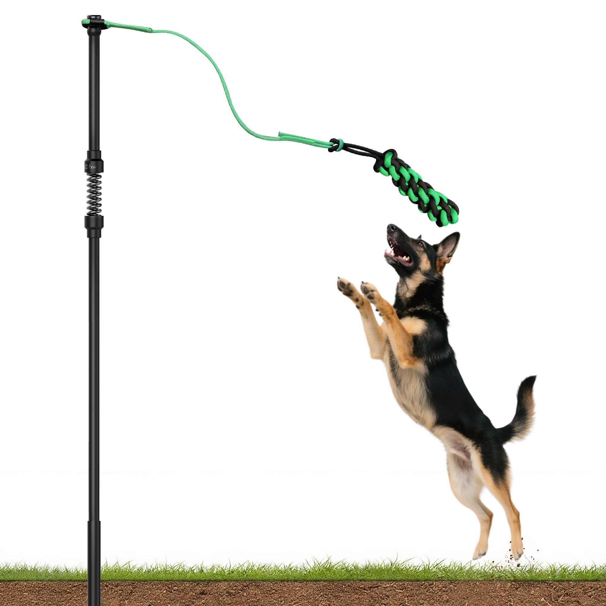 TugPal Flex Dog Tug Toy | Safe Outdoor Play with Spring-Top Rod