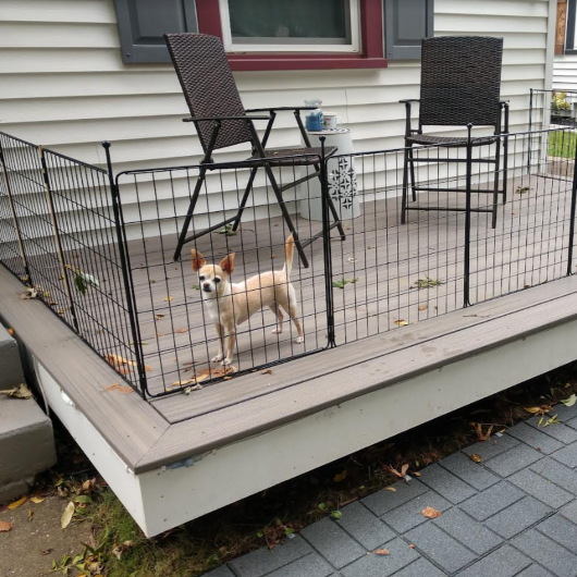 MiniPaws Dog Playpen Designed for Puppies/Small Dogs 24 inch FXW