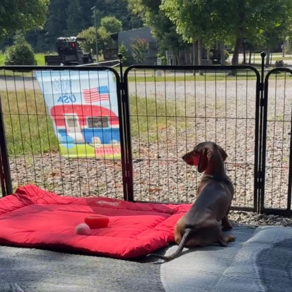 Rollick Dog Playpen for All-Terrain 24 inch 2 Panels FXW
