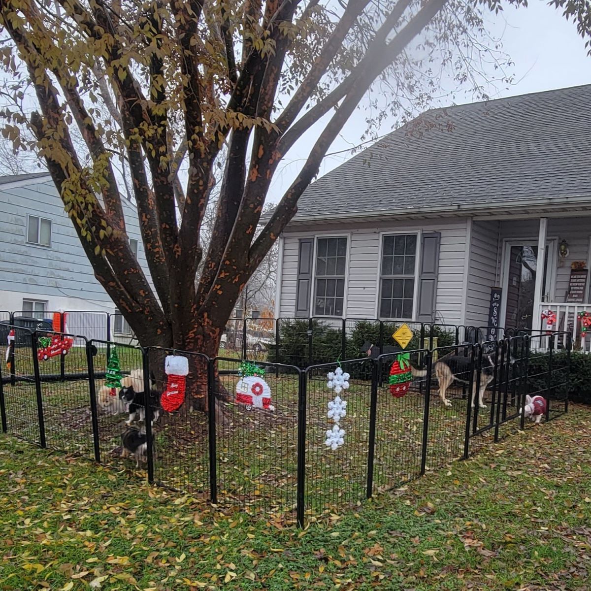 Rollick Dog Playpen for All-Terrain 40 inch 42 Panels & 6 Gates FXW