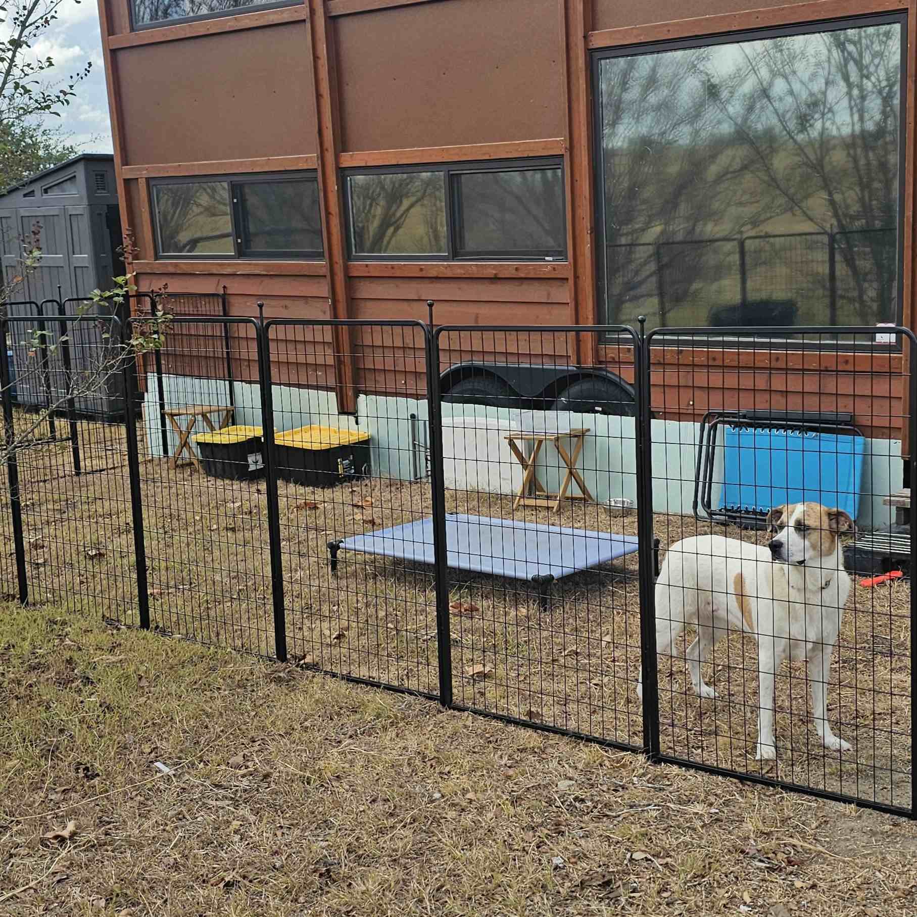 Rollick Dog Playpen for All-Terrain 50 inch 4 Panels FXW