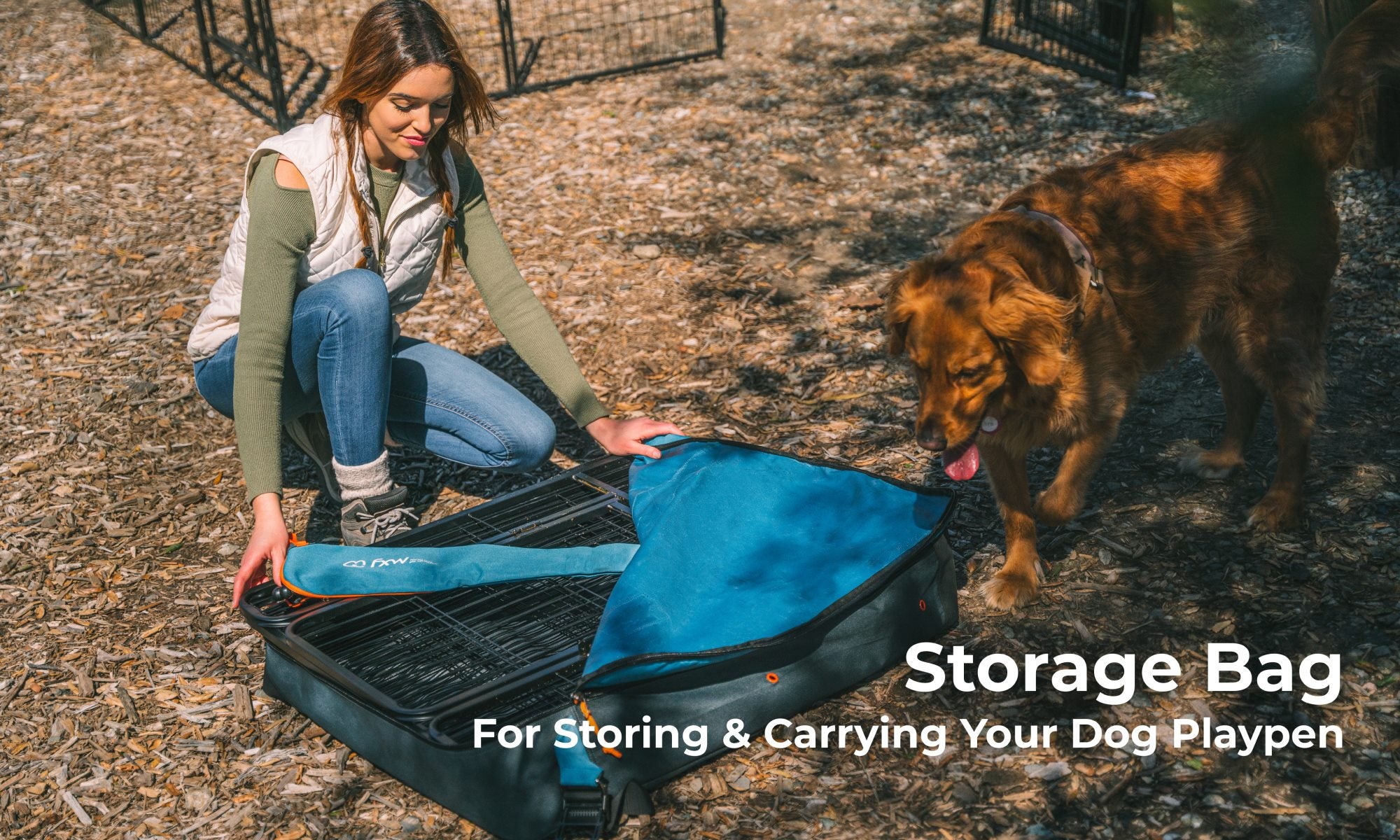 dog essentials brand