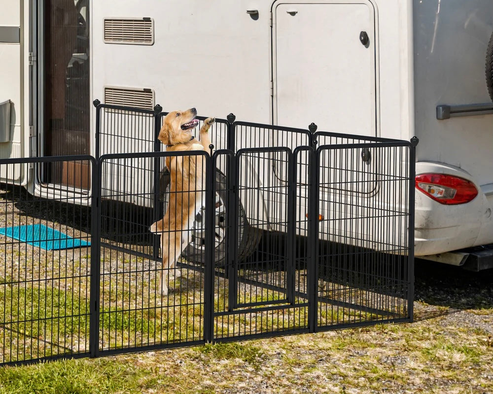 A typical image of a dog try to move the playpen 