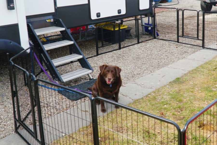 FXW OUTDOOR DOG PLAYPEN