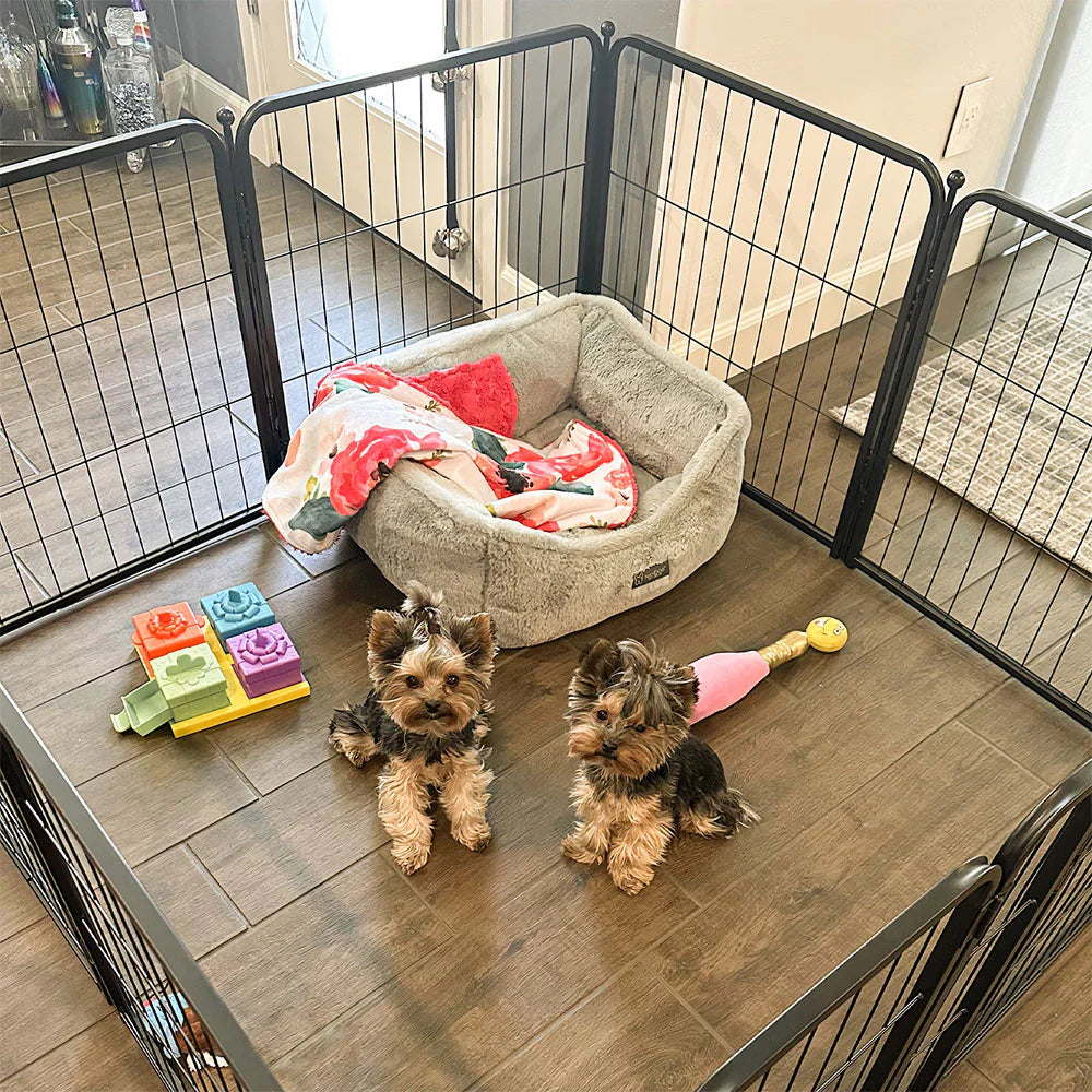 Two small Yorkie puppies sitting in an FXW indoor playpen with a cozy bed and toys.