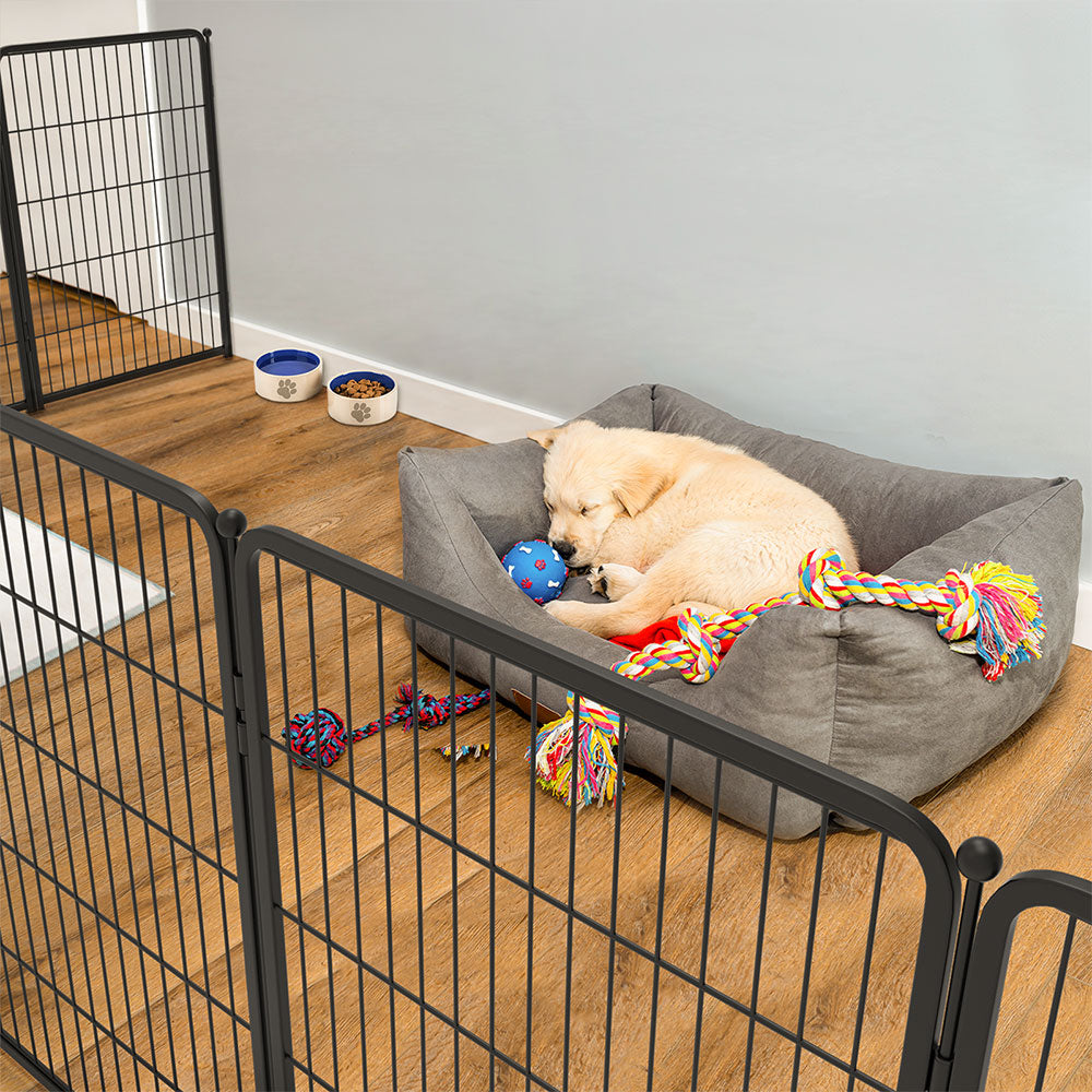 Puppy pen training best sale