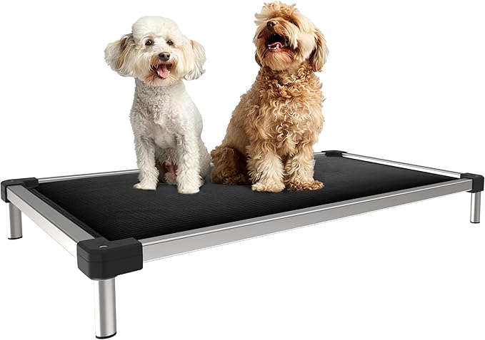 Two dogs sitting on the perfect dog bed for Every Breed