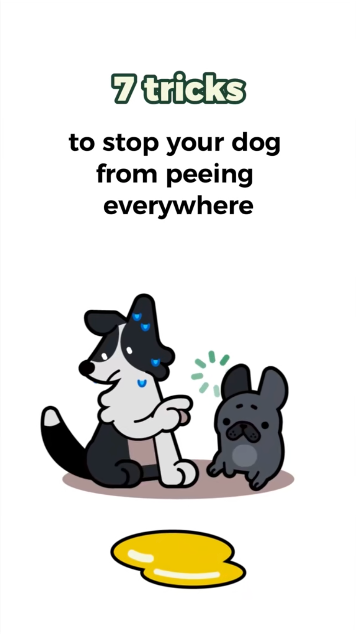 7 tricks to stop your dog from peeing everywhere